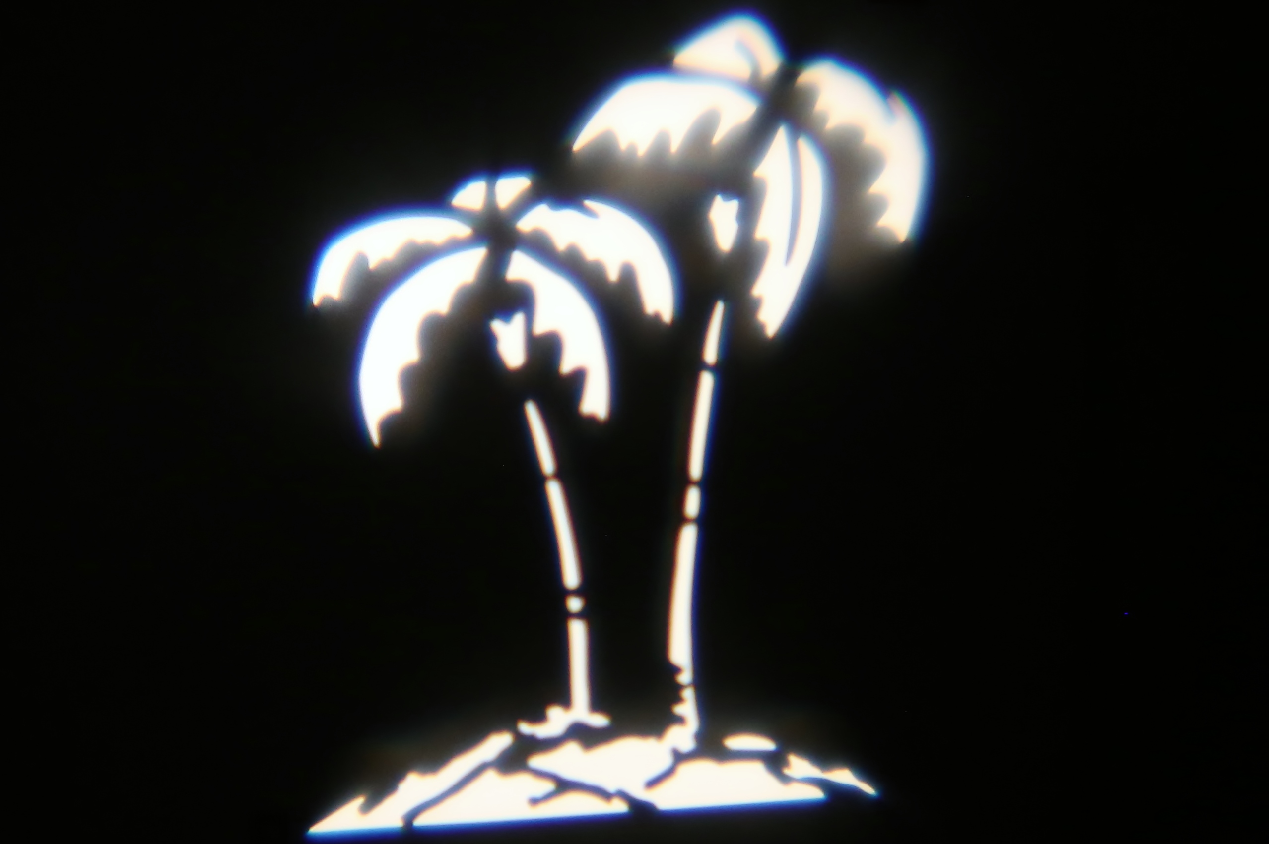 Nature - Palm Trees 2